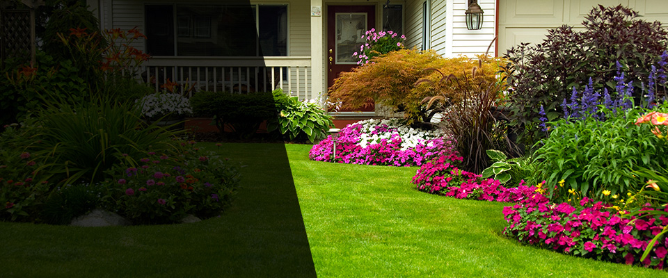 Nevis Landscapers