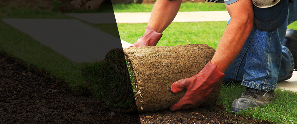 Nevis Landscapers
